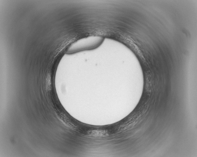 X0000115420251200912011332