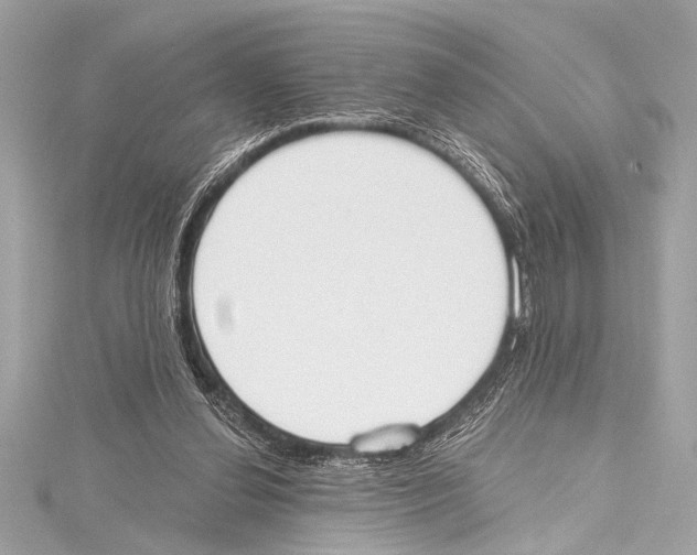 X0000115420252200912011332