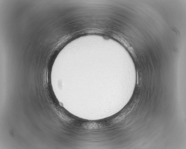 X0000115420253200912011332