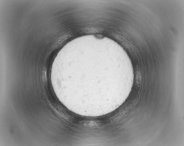 X0000115420254200912011332