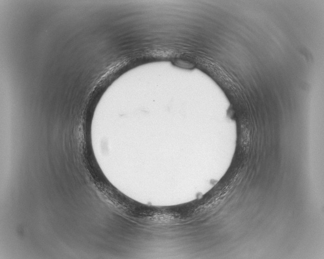 X0000115420256200912011332