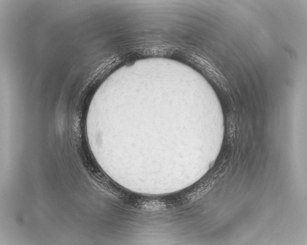 X0000115420258200912011332