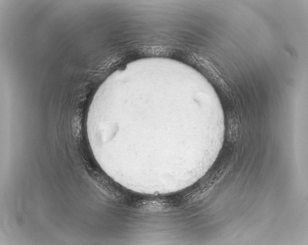 X0000115420259200912011332