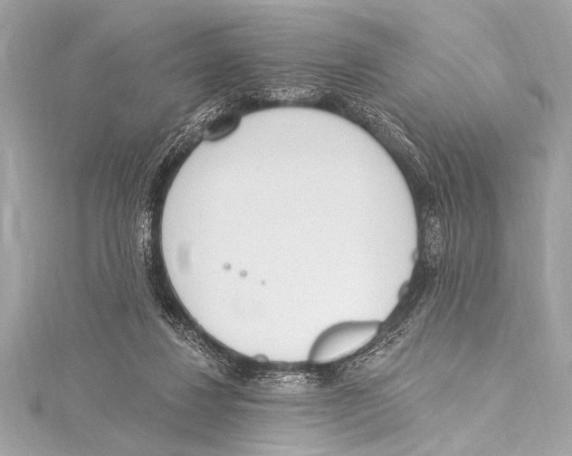 X0000115420260200912011332