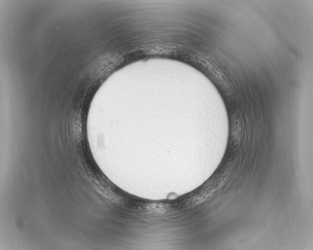 X0000115420261200912011332