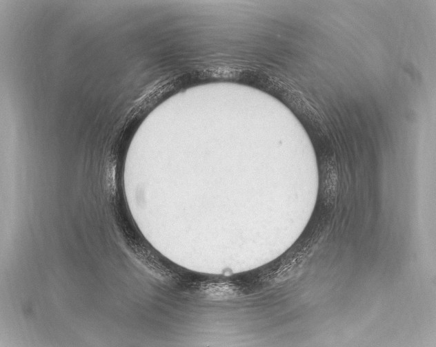 X0000115420262200912011332