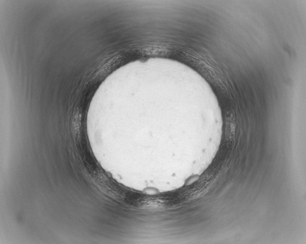 X0000115420263200912011332