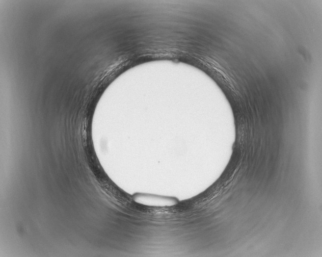 X0000115420264200912011332