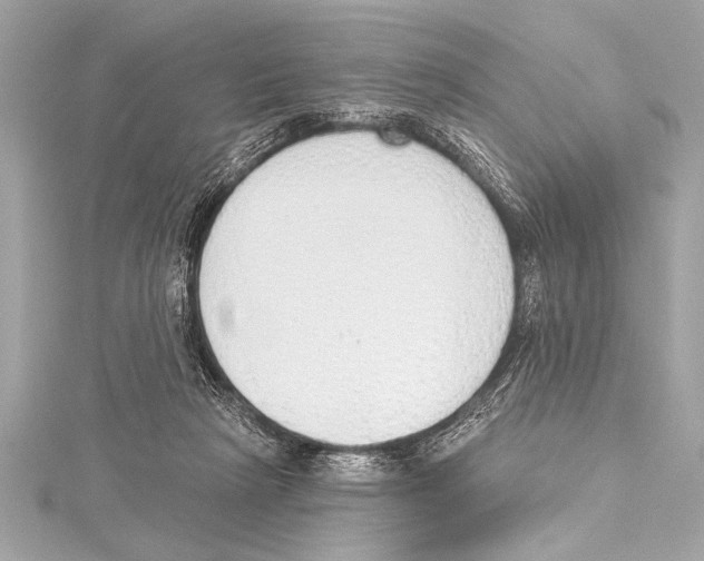 X0000115420265200912011332