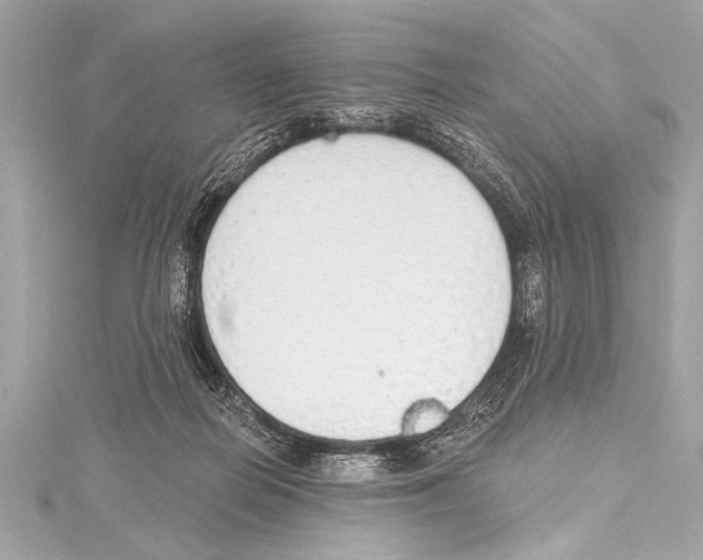 X0000115420266200912011332