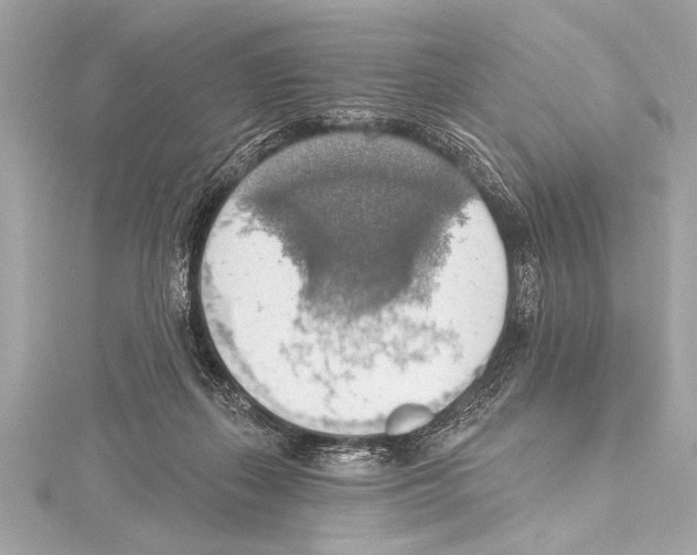 X0000115420267200912011332