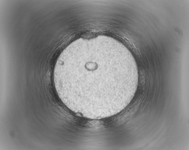 X0000115420269200912011332