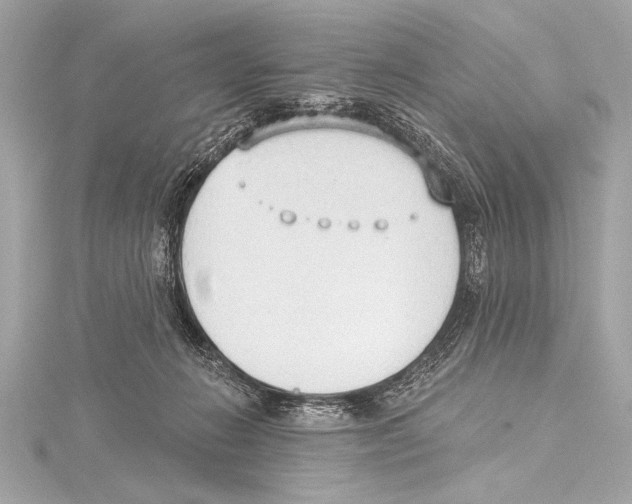 X0000115420270200912011332