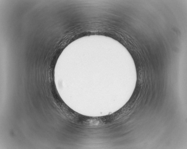 X0000115420272200912011332