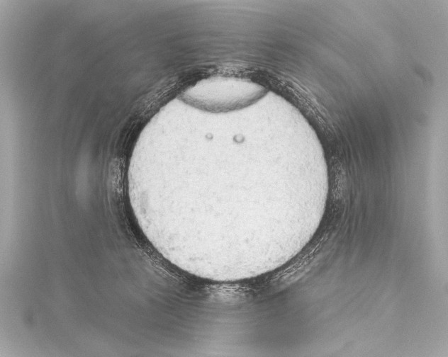 X0000115420273200912011332