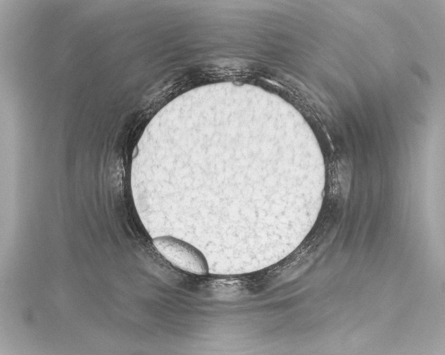 X0000115420279200912011332