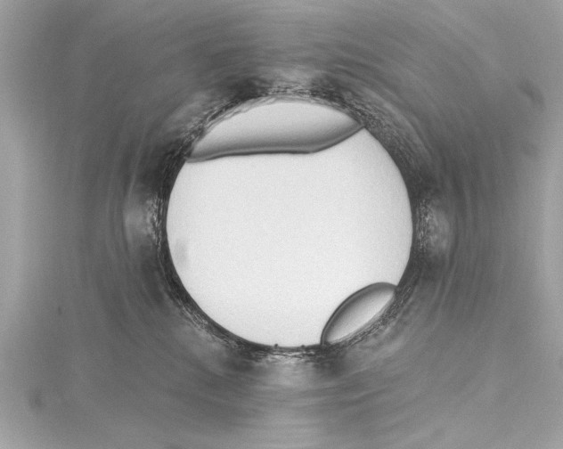 X0000115420280200912011332