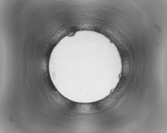 X0000115420282200912011332