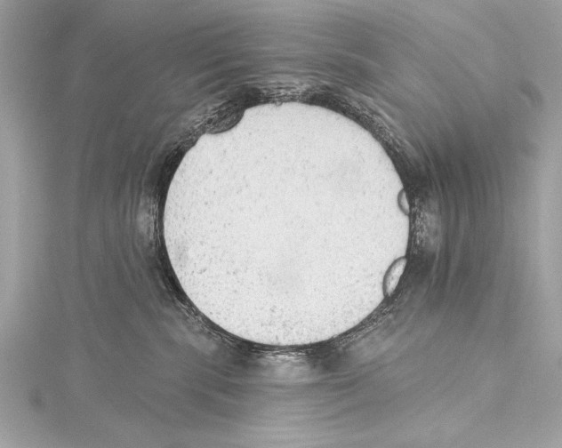 X0000115420283200912011332