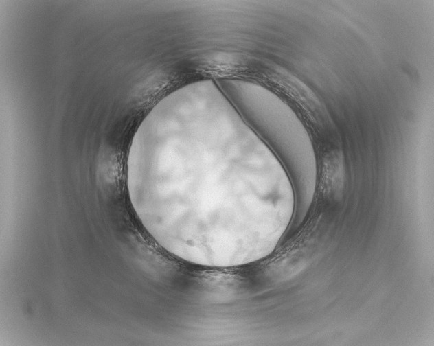 X0000115420284200912011332