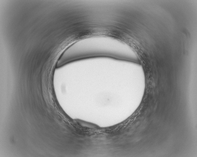 X0000115420289200912011332