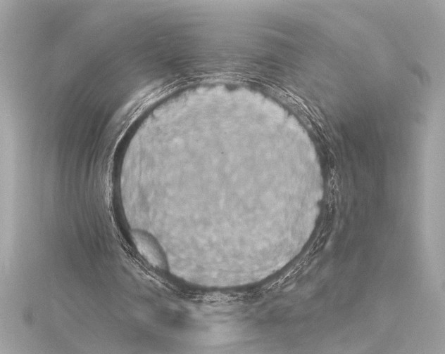 X0000115420290200912011332