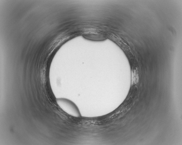 X0000115420291200912011332