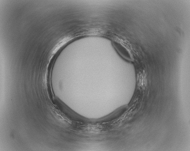 X0000115420292200912011332