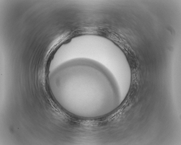 X0000115420293200912011332