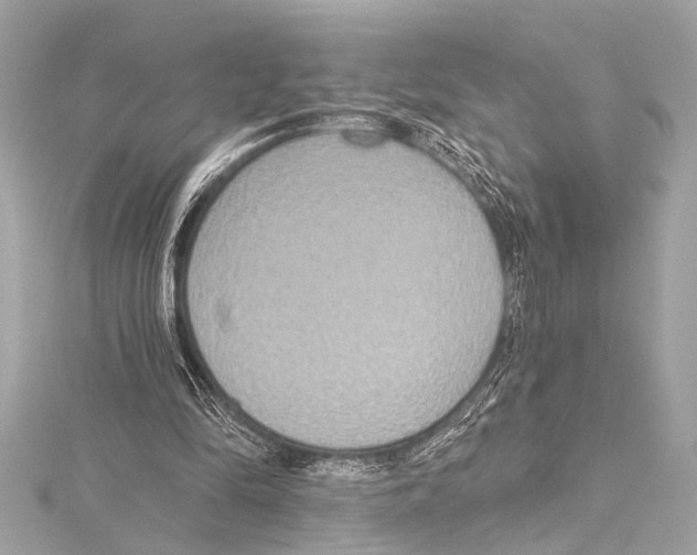 X0000115420294200912011332