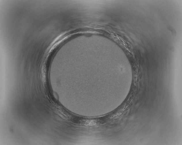 X0000115420295200912011332