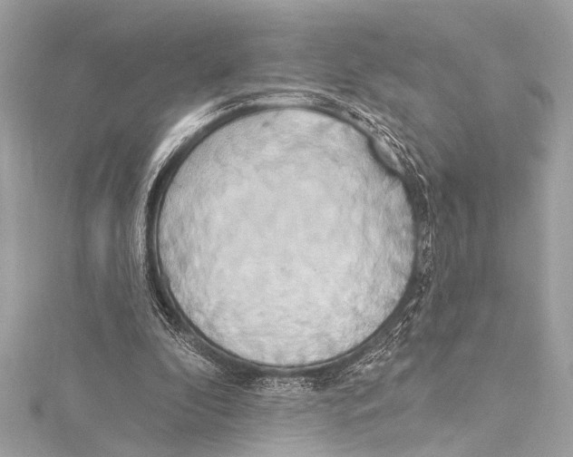 X0000115420296200912011332