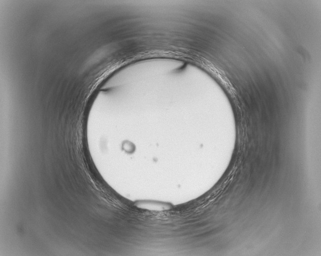 X0000115420297200912011332