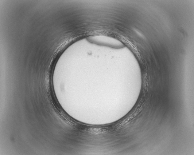 X0000115420298200912011332