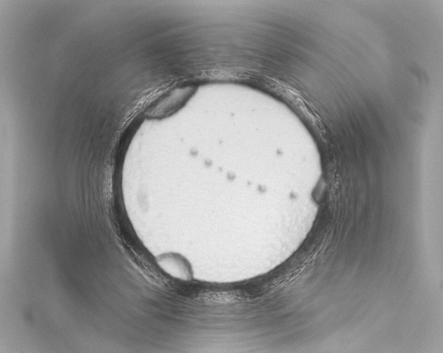 X0000115420299200912011332