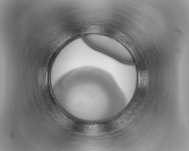 X0000115420301200912011332