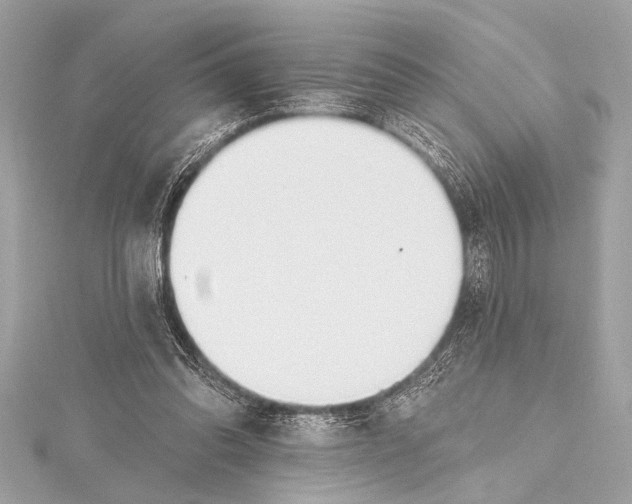 X0000115420302200912011332