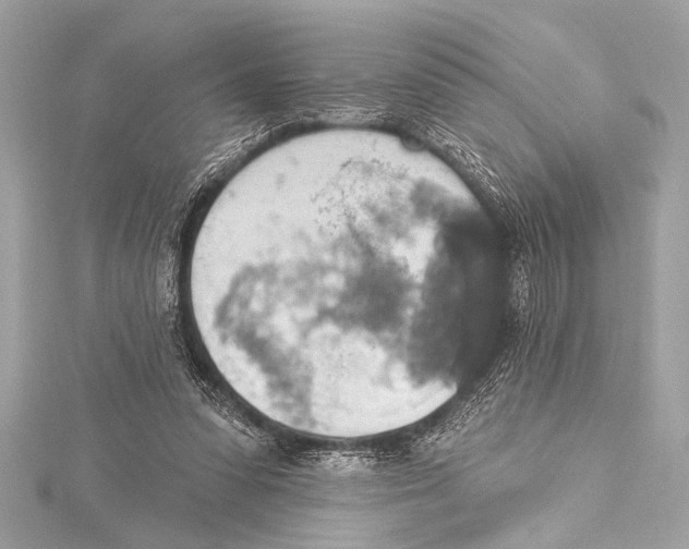 X0000115420303200912011332