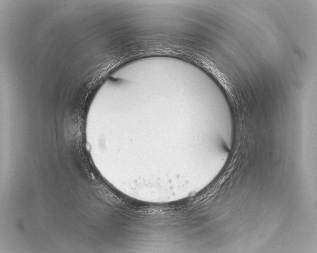 X0000115420305200912011332