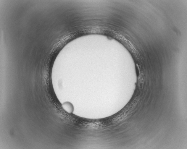 X0000115420306200912011332