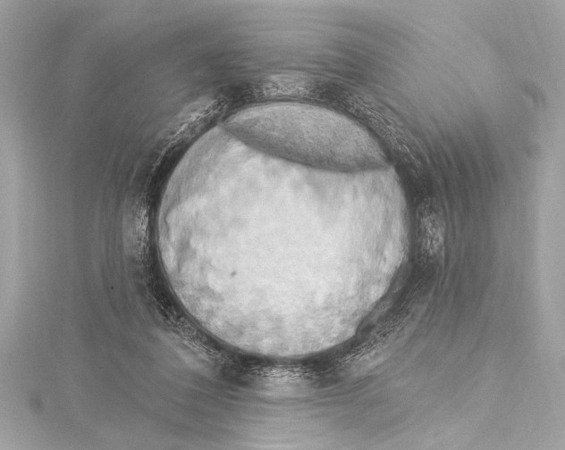 X0000115420308200912011332