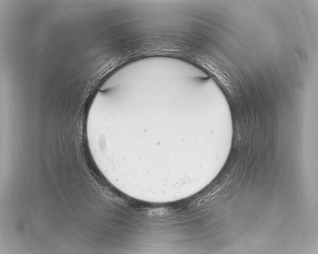 X0000115420309200912011332