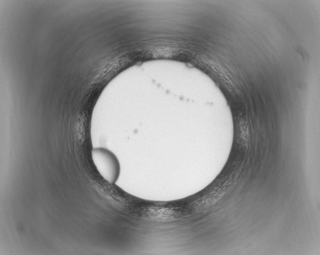 X0000115420311200912011332