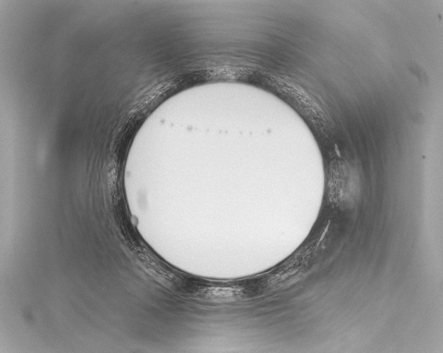 X0000115420314200912011332