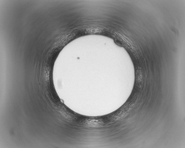 X0000115420315200912011332