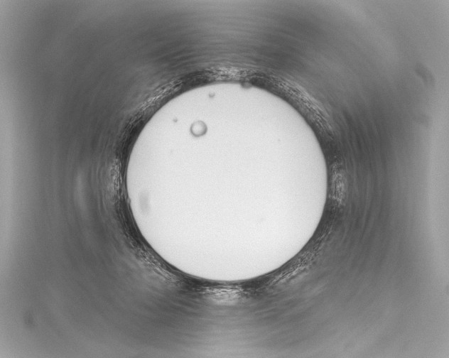 X0000115420318200912011332