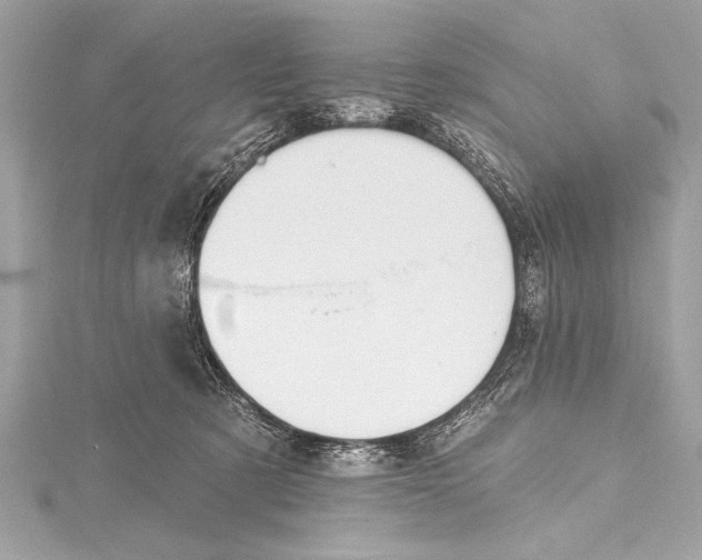 X0000115420321200912011331