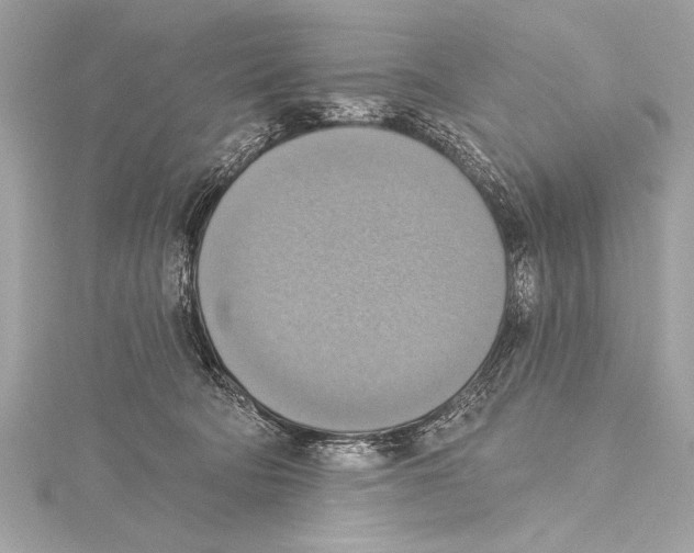 X0000115420322200912011331