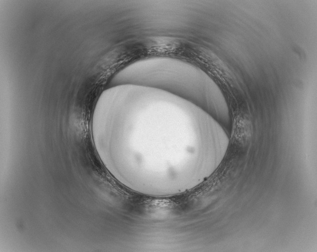 X0000115420324200912011331