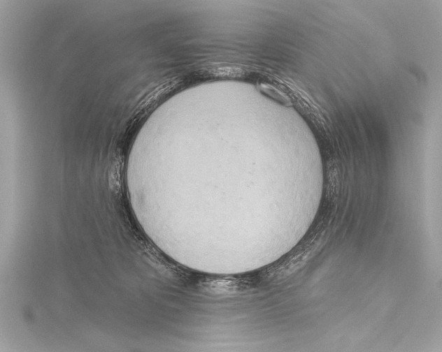 X0000115420325200912011331